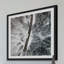 Karolis Janulis - Single Picture Frame Print-231320701