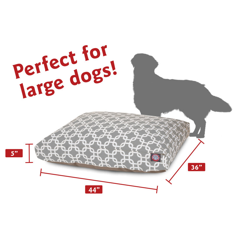 Coussin Links Orthopedic, Gris, Grand (l 36 po x P 44 po x H 5 po) ;