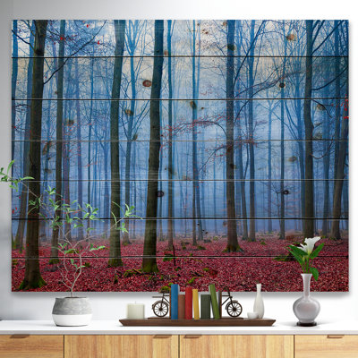« brumey forest », reproduction de photo