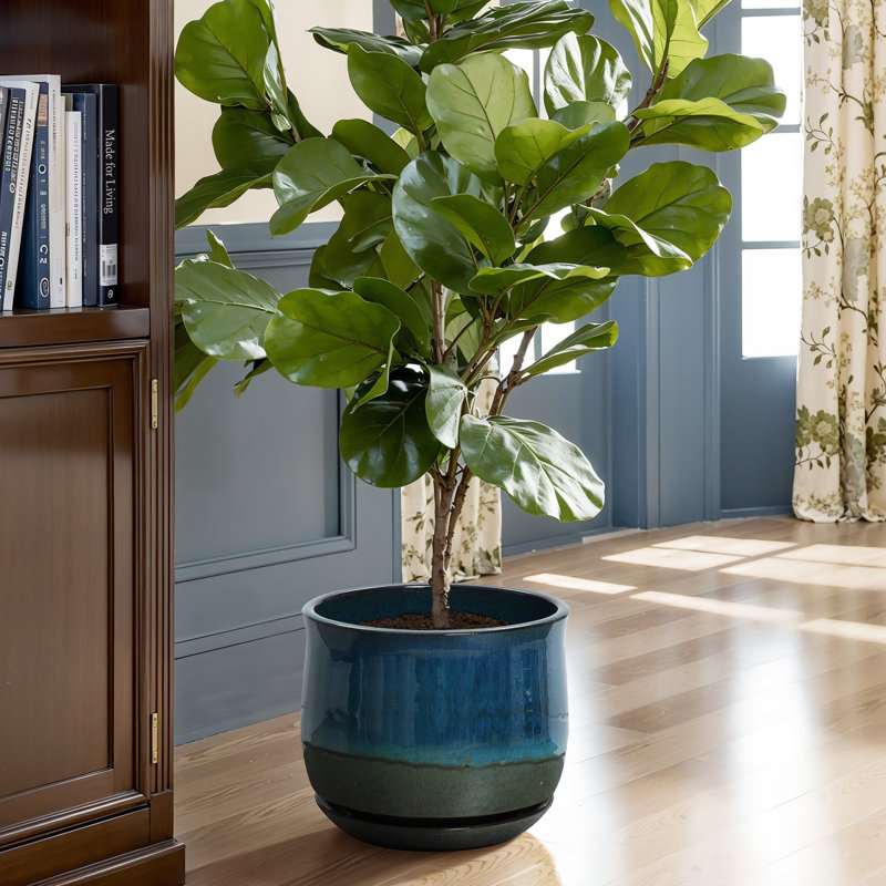 Blue and Green Ombre Round Decorative Ceramic Planter Pot