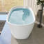 Baignoire autoportante 67 po. X P 33 po. Surface solide et blanche
