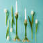 Candlestick-83761755