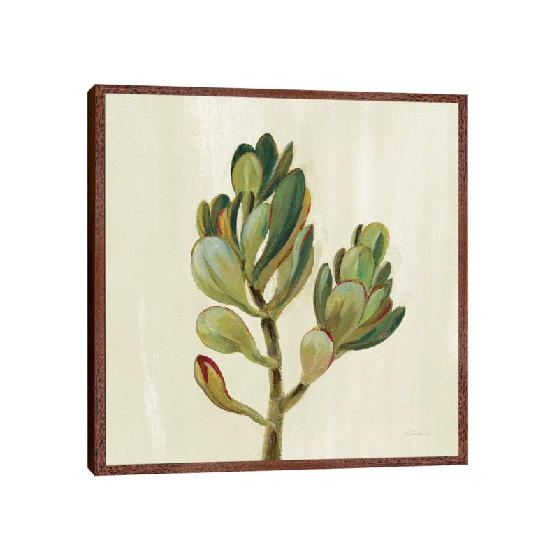 Front Yard Succulent II by Silvia Vassileva - Gallery-Wrapped Canvas Giclée on Canvas, 45.72 cm H x 45.72 cm W