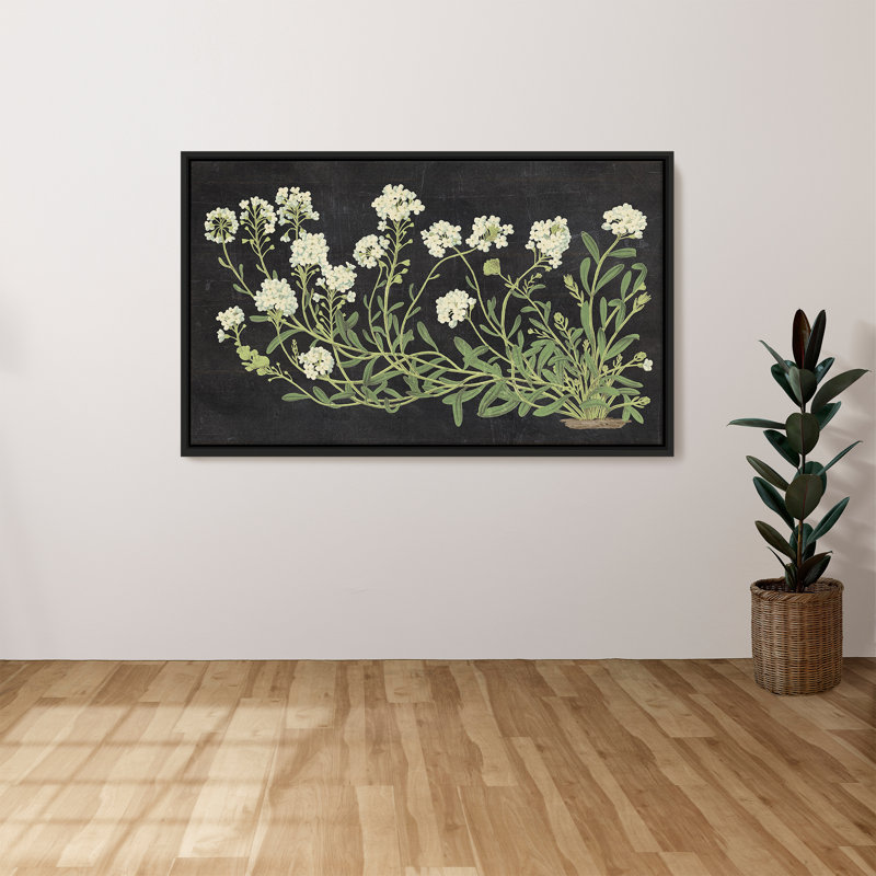 "Vintage Flowers on Black" by Wild Apple Portfolio Print on Canvas in a Black Floater Frame, H 27,5 po x l 43,5 po, Noir