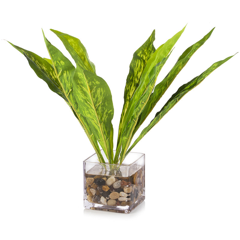 Fausse feuille verte dans un vase en verre cube