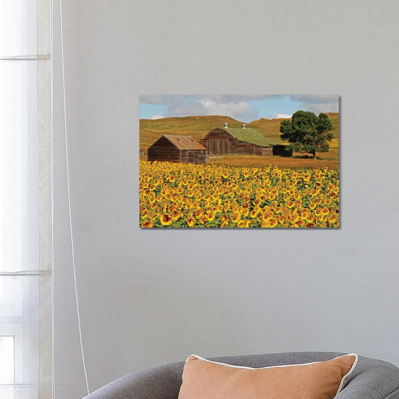 Sunflower Field by Brian Wolf - Wrapped Canvas Print, 66.04 cm H x 45.72 cm W x 3.175 cm D