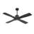 Cayemite 54 in. 4-blades Solid Wood Indoor Ceiling Fan with Remote Quiet DC Motor-890183914-896851148