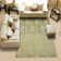 Rhames Floral Indoor Rug