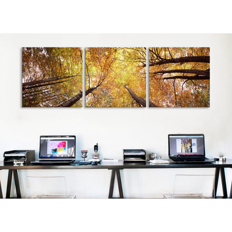 Vue basse de l’arbre en bavière, ensemble de 3 reproductions de photos sur toiles tendues, H 16 po x l 48 po x P 1,5 po