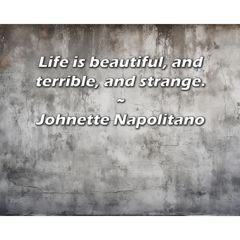 17 Toiles tendues sur châssis par Johnette Napolitano: «Life is Beautiful, and Terrible, H 17 po x l 24 po