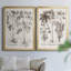 Sépia Besler Botanicals V - ensemble de 2 reproductions d'art sur toile encadrées-71888212-71888213