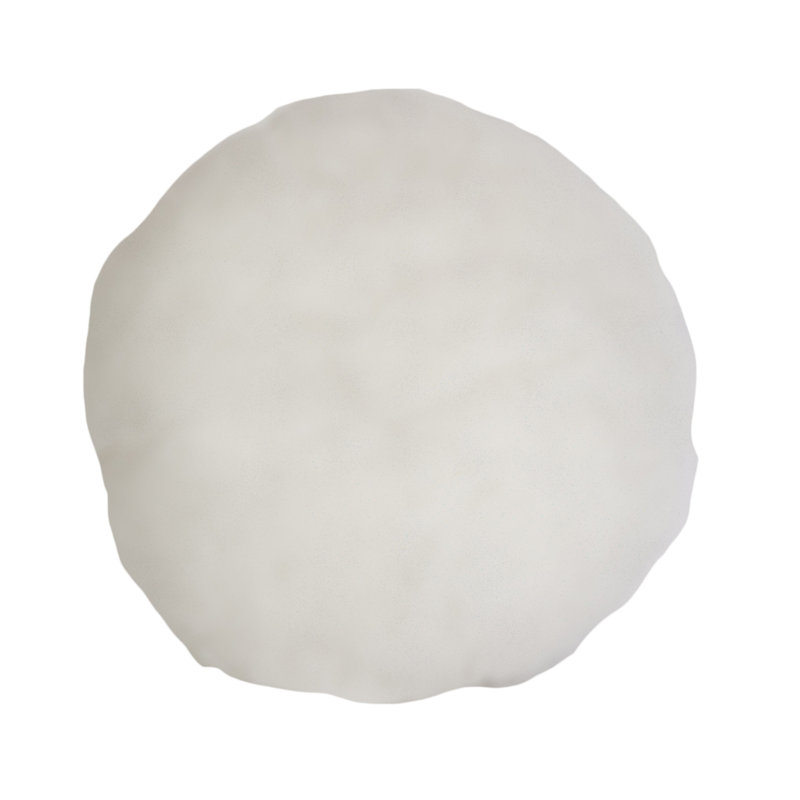 Peel Polyester Pillow Insert Set of 2