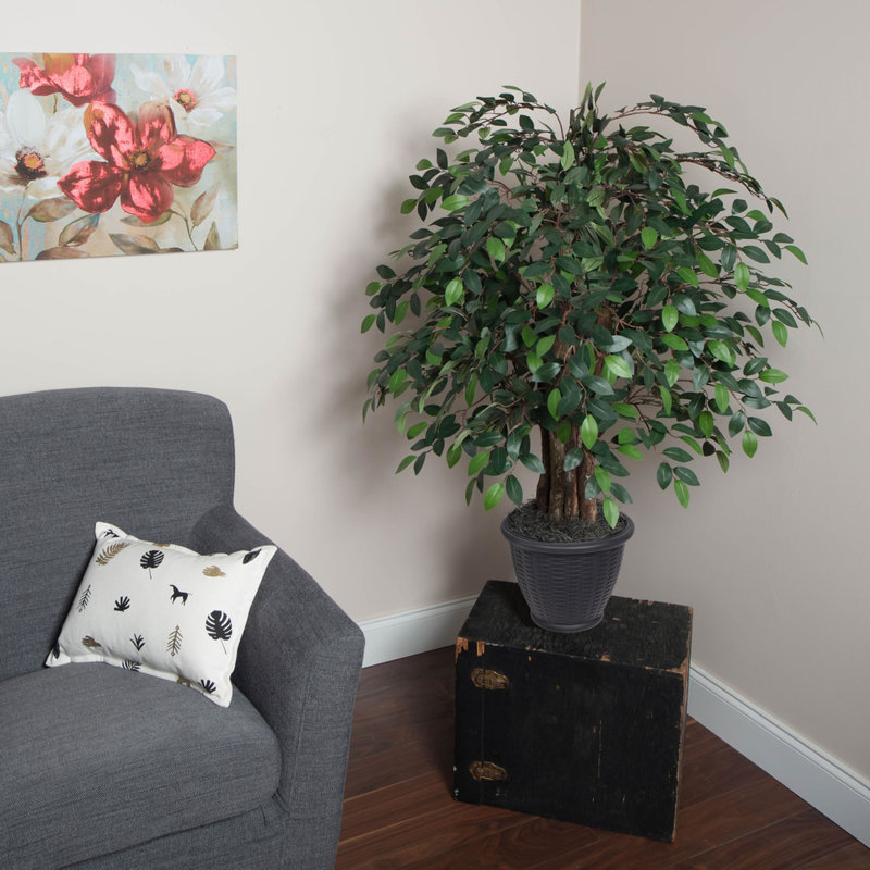 Artificial Mango Extra Full Series, Gray