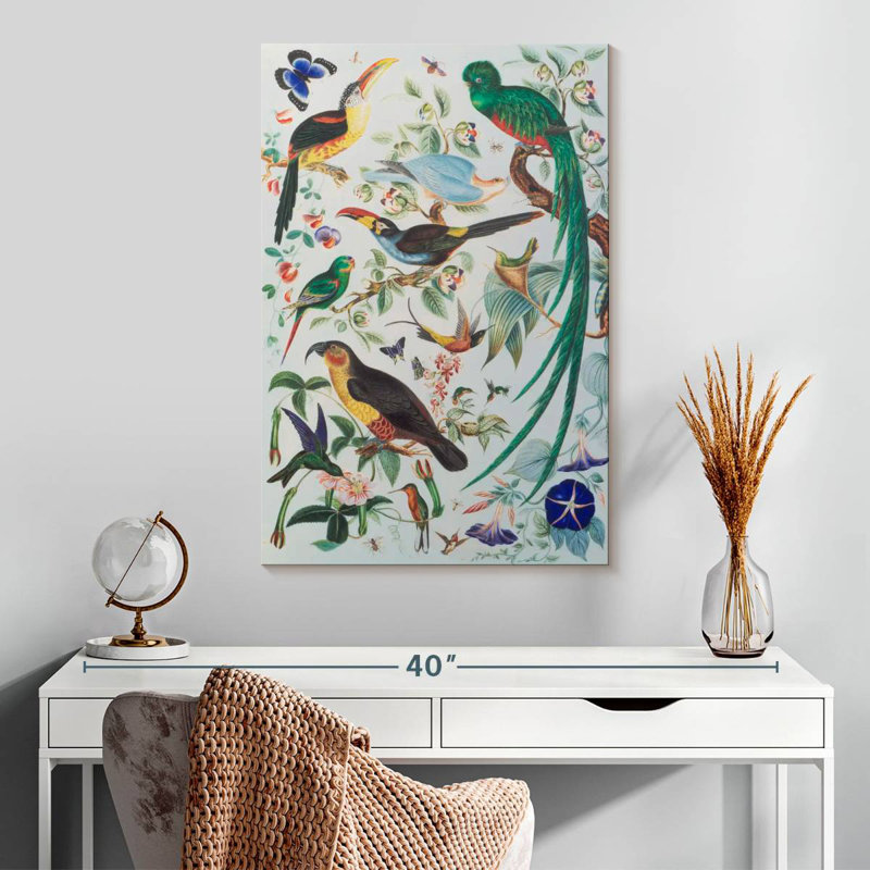 Brampt Exotic Parrots 1850, 30" H x 20" W