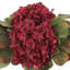 Fall Centerpiece with Hydrangeas and Fig Leaves