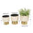 Badiu 3 Piece Metal Indoor Outdoor Planter with Gold Base Set-1192210503