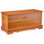Aamna Blanket Chest-2028901121