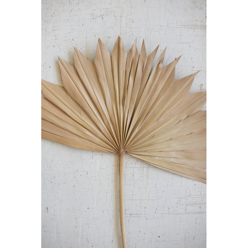  Grande lance en forme de palmier naturel - décor décoratif botanique séché H 16 po, ensemble de 12