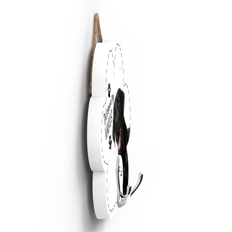 Hilburn Wall Wall Hook