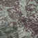 Premium Machine Washable Prisco Fern Rug