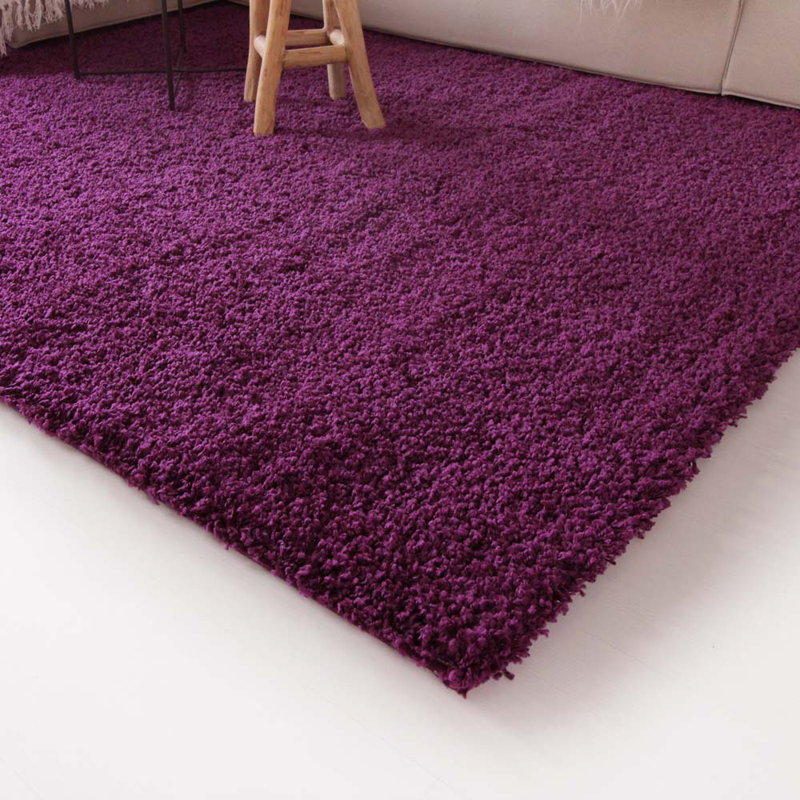 Aloysia Solid Colour Shag Area Rug, Rectangle 240 x 340cm