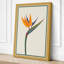 Bird of Paradise Botanical - Wrapped Canvas-821996694-821996695