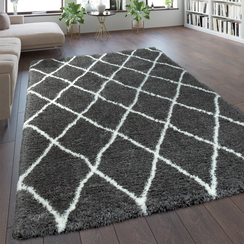 Ackron Oriental Area Rug, Rectangle 120 x 160cm