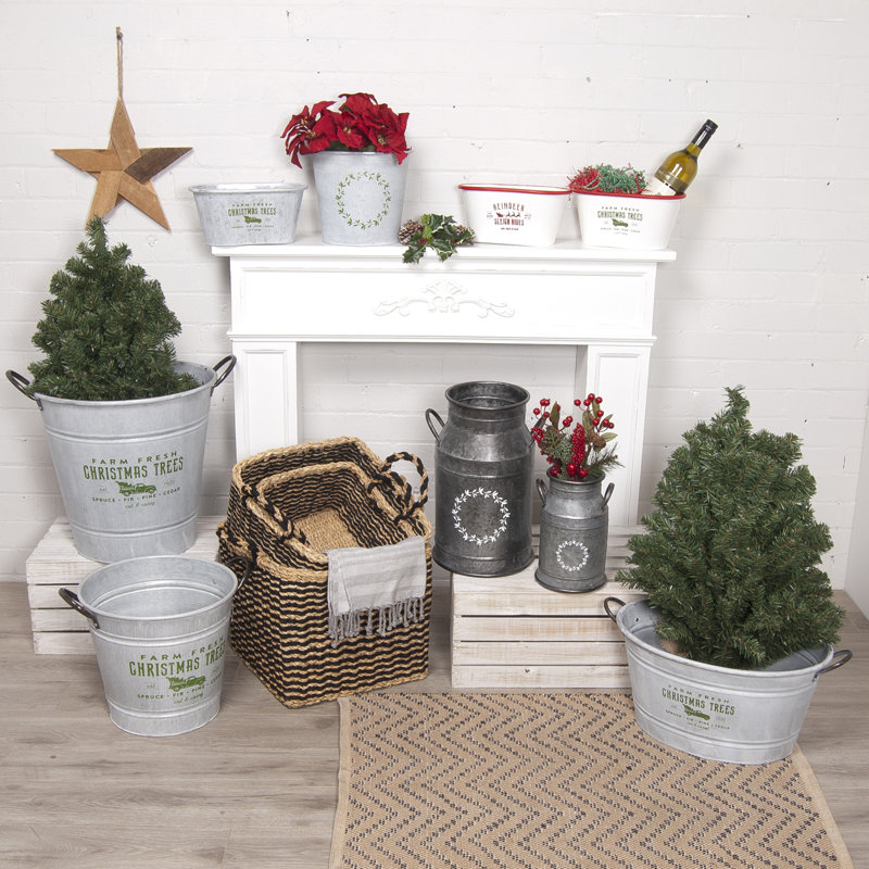 Ensemble de vase de plancher 2 pièces en boîtes en lait galvanisé Kayla