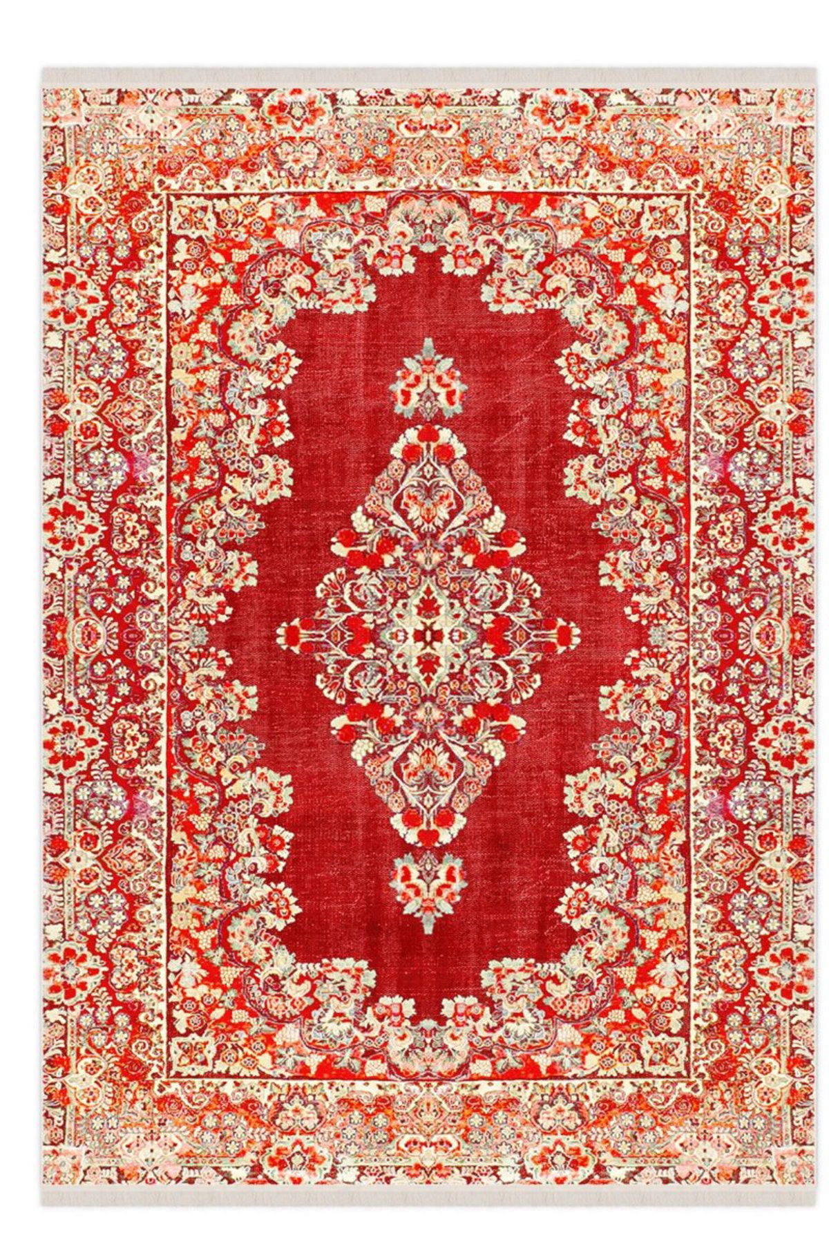 Bungalow Rose Seti Cotton Indoor/Outdoor Area Rug | Wayfair