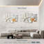 Swept ashore seashells Aletra-107508398