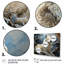 «Wolf Watch In Winter Patchwork III», reproduction d'art sur toile-1394693394-1582877008
