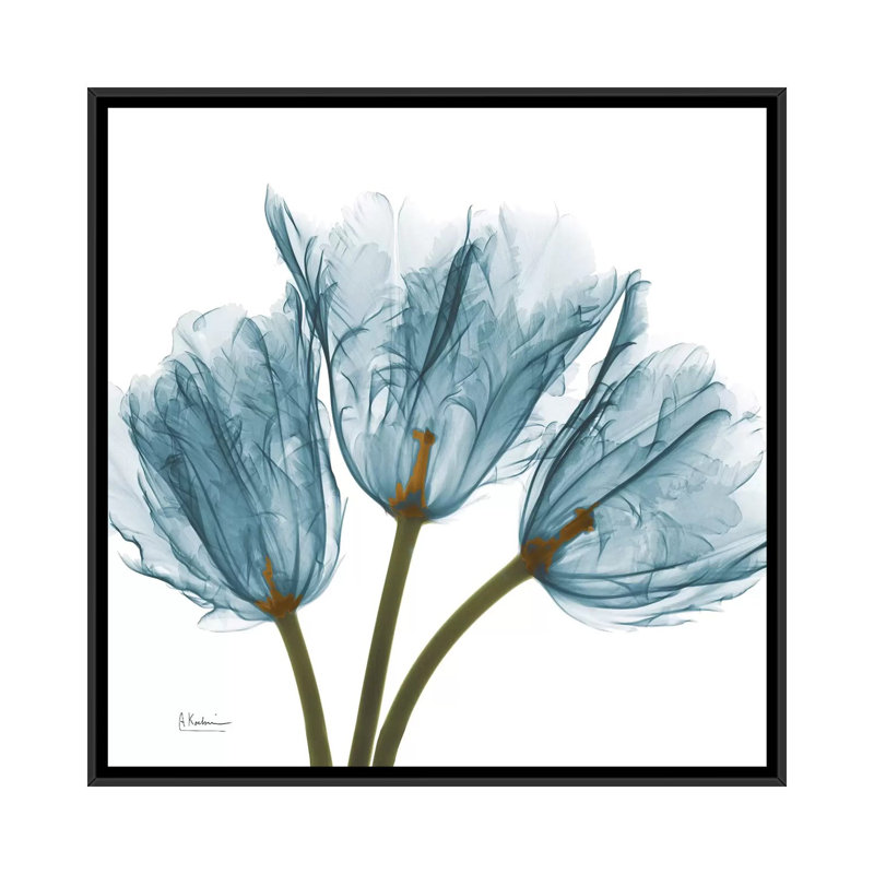 «Tulips», impression sur toile, H 18 po x l 18 po x P 1,5 po, Toile avec cadre noir, Pas de tapis
