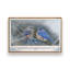 «Humble and Gentle» par Robin-Lee Vieira, reproduction d'art-512838208-512838212-512838218