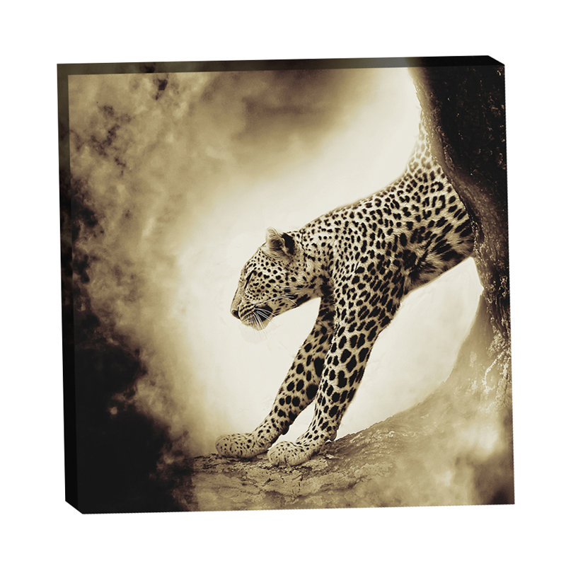 «Leopard Stretch to the Light» par Grotto Studios