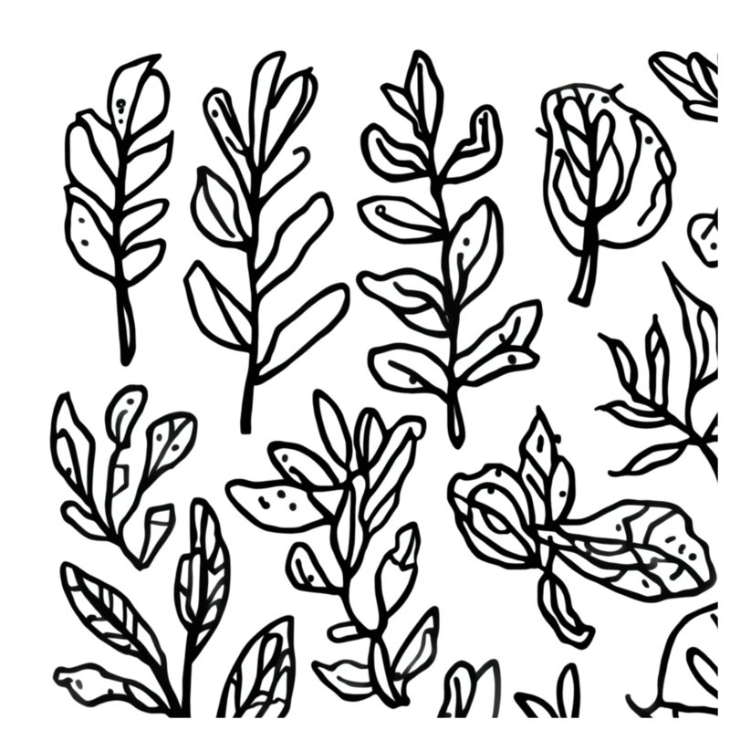 Couvertures de feuilles botaniques noires et blanches, L 50 po x H 60 po