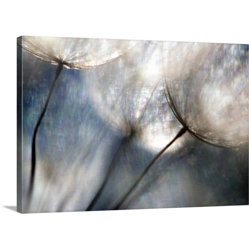 " Carefree " by Ursula Abresch, 12" H x 18" W x 1.5" D