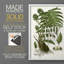 Impression encadrée Fern I-Premium - prête à être accrochée - aucun clou requis - aucun clou requis-107997870-107997874