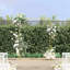 150cm W x 49.5cm D Steel Arbour in Gold