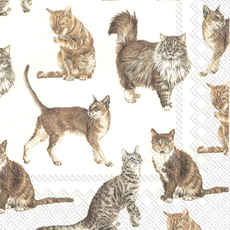 Serviettes jetables en papier Basic