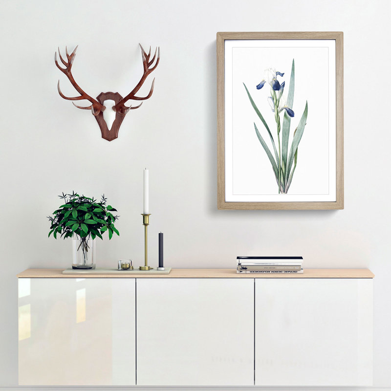 Tall-Bearded Iris Flowers by Pierre-Joseph Redoute - Picture Frame Art Print, 36cm H x 27cm W x 2cm D, Oak Framed