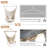 Friddle 1 Person Chair Hammock-1436701349