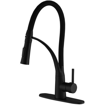 Pull out Single Handle Kitchen Faucet with Accessories