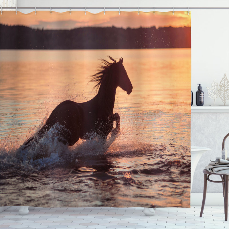 Rideau de douche simple cheval de mer, H 69 po x l 70 po