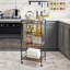 Aljandro Metal Bar Cart