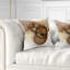 Texture abstraite spirale brune - coussin abstrait imprimé-29604263-29604259