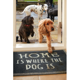 Non-Slip Indoor Doormat