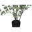 Artificial Plant