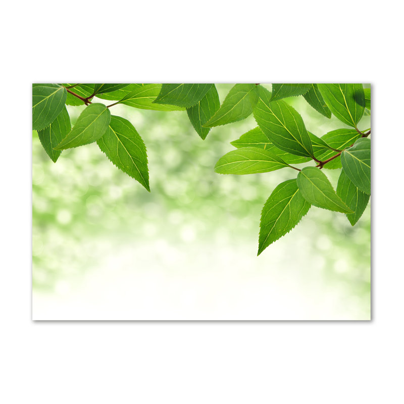 Green Leaves - Wrapped Canvas Print