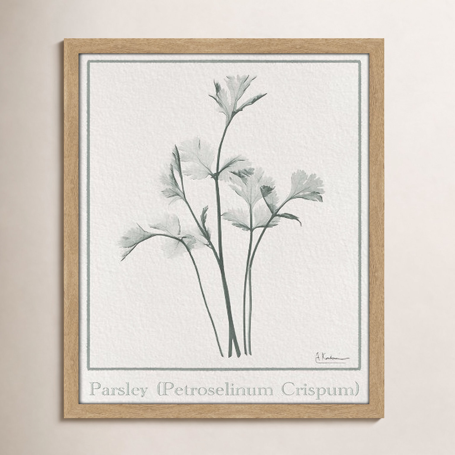 Parsley II Framed On Paper by Albert Koetsier Print, 19" H x 16" W x 1.25" D, Natural Framed Paper