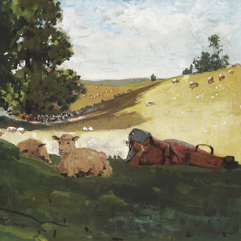 "Atrina Homer Sheep Countryside III" sur toile par Winslow Homer, L 12 po x H 12 po